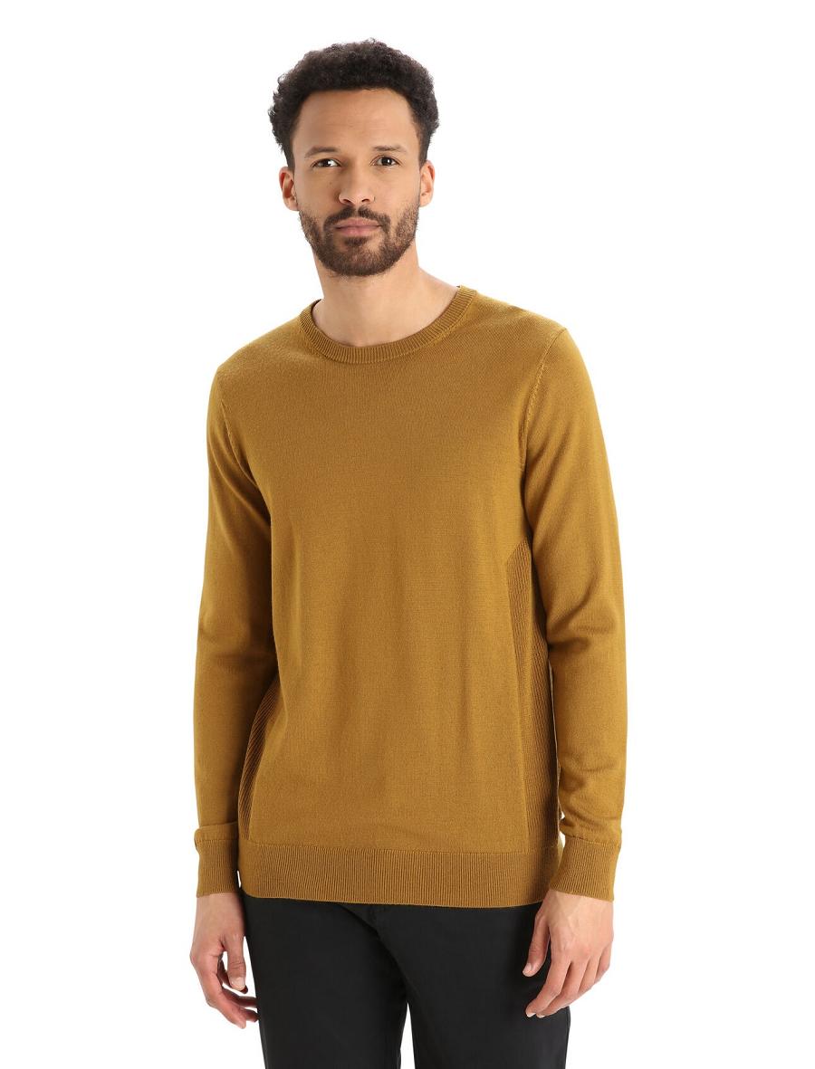 Chandails Icebreaker Merino Shearer Crewe Homme Marron | FR 1215VRWD